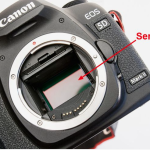 What Is a Camera Sensor