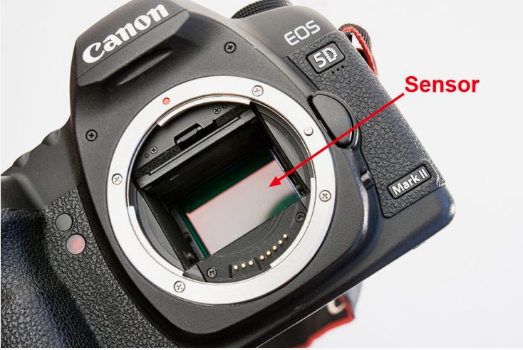 What Is a Camera Sensor